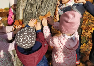 "Jesienne zabawy na powietrzu" - realizacja innowacji pedagogicznej " Zdrowo zakręceni".