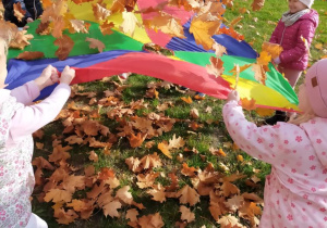"Jesienne zabawy na powietrzu" - realizacja innowacji pedagogicznej " Zdrowo zakręceni".