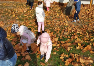 "Jesienne zabawy na powietrzu" - realizacja innowacji pedagogicznej " Zdrowo zakręceni".