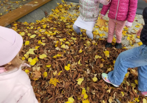 "Jesienne zabawy na powietrzu" - realizacja innowacji pedagogicznej " Zdrowo zakręceni".