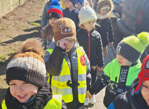 Tuptusie chwytają pierwsze, wiosenne promienie słońca.