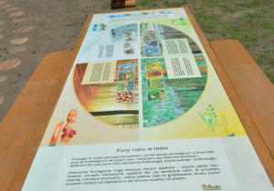 Ławostół "Pory roku w lesie"