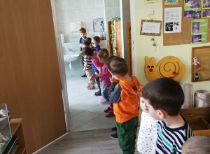 ,, Brązowy - o współdziałaniu"