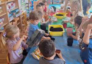 „Zielony kącik” – założenie zielonego ogródka w sali. Realizacja innowacji pedagogicznej "Zdrowo zakręceni".