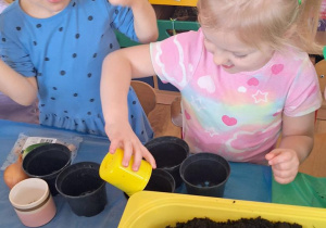 „Zielony kącik” – założenie zielonego ogródka w sali. Realizacja innowacji pedagogicznej "Zdrowo zakręceni".