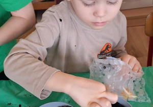 „Zielony kącik” – założenie zielonego ogródka w sali. Realizacja innowacji pedagogicznej "Zdrowo zakręceni".