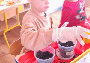 „Zielony kącik” – założenie zielonego ogródka w sali. Realizacja innowacji pedagogicznej "Zdrowo zakręceni".