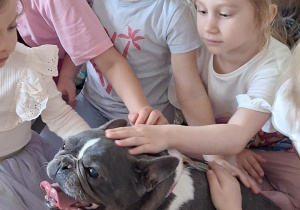 Tuptusie na spotkaniu z Weterynarzem.