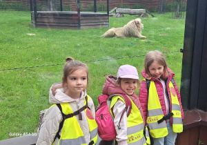 Tuptusie na wycieczce do Safari Zoo w Borysewie.