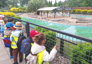 Tuptusie na wycieczce do Safari Zoo w Borysewie.