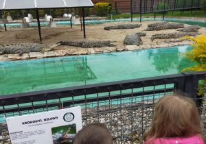 Tuptusie na wycieczce do Safari Zoo w Borysewie.