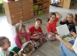 ,,Przygody trzech sympatycznych skrzatów- Nomika, Drzewika i Drobika" realizacja zadań z ogólnopolskiego projektu edukacji emocjonalnej ,,Bajki- Pomagajki".