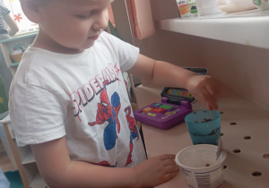 Zielony ogródek w sali Tuptusiów