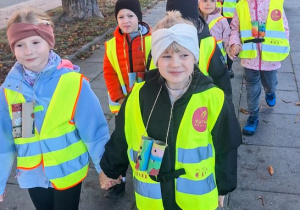 "Co widzę?" - realizacja zadania w ramach Ogólnopolskiego Projektu Edukacyjnego "Promyczek - Pytam, Działam, Odkrywam".