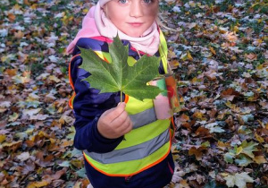 "Czy liście są takie same?" - realizacja zadania w ramach Ogólnopolskiego Projektu Edukacyjnego "Promyczek - Pytam, Działam, Odkrywam".