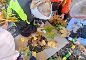 "Czy liście są takie same?" - realizacja zadania w ramach Ogólnopolskiego Projektu Edukacyjnego "Promyczek - Pytam, Działam, Odkrywam".
