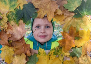 "Czy liście są takie same?" - realizacja zadania w ramach Ogólnopolskiego Projektu Edukacyjnego "Promyczek - Pytam, Działam, Odkrywam".