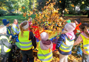 "Czy liście są takie same?" - realizacja zadania w ramach Ogólnopolskiego Projektu Edukacyjnego "Promyczek - Pytam, Działam, Odkrywam".
