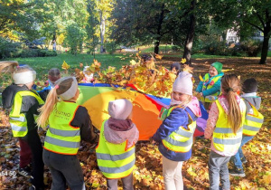 "Czy liście są takie same?" - realizacja zadania w ramach Ogólnopolskiego Projektu Edukacyjnego "Promyczek - Pytam, Działam, Odkrywam".