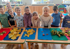 "Czy liście są takie same?" - realizacja zadania w ramach Ogólnopolskiego Projektu Edukacyjnego "Promyczek - Pytam, Działam, Odkrywam".