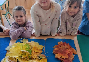 "Czy liście są takie same?" - realizacja zadania w ramach Ogólnopolskiego Projektu Edukacyjnego "Promyczek - Pytam, Działam, Odkrywam".