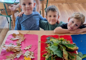 "Czy liście są takie same?" - realizacja zadania w ramach Ogólnopolskiego Projektu Edukacyjnego "Promyczek - Pytam, Działam, Odkrywam".