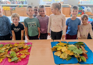 "Czy liście są takie same?" - realizacja zadania w ramach Ogólnopolskiego Projektu Edukacyjnego "Promyczek - Pytam, Działam, Odkrywam".