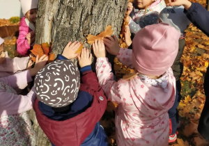 "Jesienne zabawy na powietrzu" - realizacja innowacji pedagogicznej " Zdrowo zakręceni".