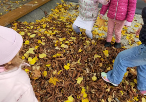 "Jesienne zabawy na powietrzu" - realizacja innowacji pedagogicznej " Zdrowo zakręceni".