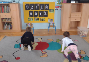 Dzień Kota