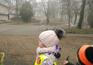 Zdjęcie 7 na 10