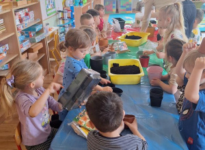 „Zielony kącik” – założenie zielonego ogródka w sali. Realizacja innowacji pedagogicznej "Zdrowo zakręceni".