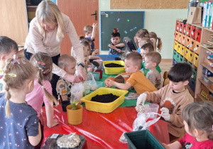 „Zielony kącik” – założenie zielonego ogródka w sali. Realizacja innowacji pedagogicznej "Zdrowo zakręceni".