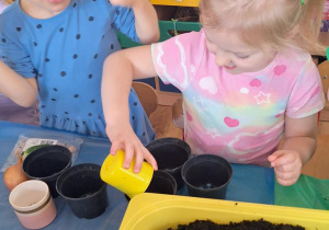 „Zielony kącik” – założenie zielonego ogródka w sali. Realizacja innowacji pedagogicznej "Zdrowo zakręceni".