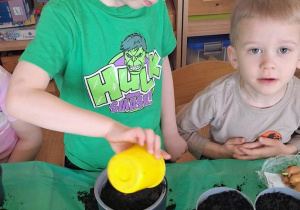 „Zielony kącik” – założenie zielonego ogródka w sali. Realizacja innowacji pedagogicznej "Zdrowo zakręceni".