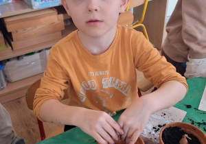 „Zielony kącik” – założenie zielonego ogródka w sali. Realizacja innowacji pedagogicznej "Zdrowo zakręceni".