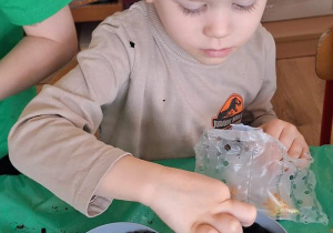 „Zielony kącik” – założenie zielonego ogródka w sali. Realizacja innowacji pedagogicznej "Zdrowo zakręceni".