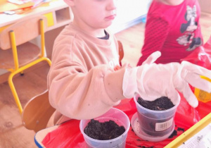 „Zielony kącik” – założenie zielonego ogródka w sali. Realizacja innowacji pedagogicznej "Zdrowo zakręceni".