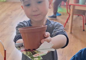 „Zielony kącik” – założenie zielonego ogródka w sali. Realizacja innowacji pedagogicznej "Zdrowo zakręceni".