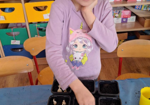 „Zielony kącik” – założenie zielonego ogródka w sali. Realizacja innowacji pedagogicznej "Zdrowo zakręceni".