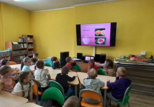 Zdjęcie 13 na 26