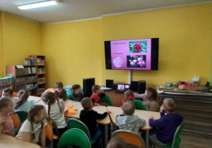 Zdjęcie 14 na 26