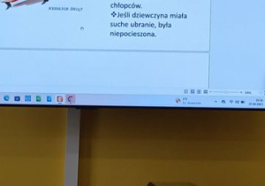 Zdjęcie 10 na 14