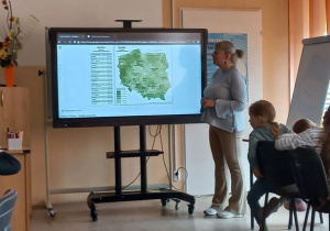Zdjęcie 7 na 16