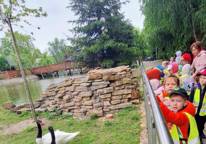 Tuptusie na wycieczce do Safari Zoo w Borysewie.