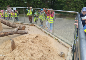 Tuptusie na wycieczce do Safari Zoo w Borysewie.