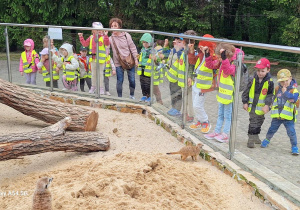 Tuptusie na wycieczce do Safari Zoo w Borysewie.