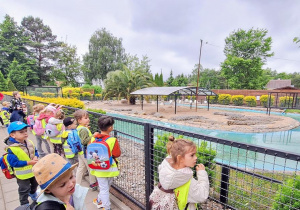 Tuptusie na wycieczce do Safari Zoo w Borysewie.
