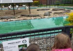 Tuptusie na wycieczce do Safari Zoo w Borysewie.