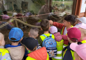 Tuptusie na wycieczce do Safari Zoo w Borysewie.
